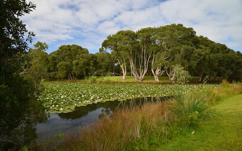 Centennial Park, Sydney - Credit: MikeFernandes2/MikeFernandes2