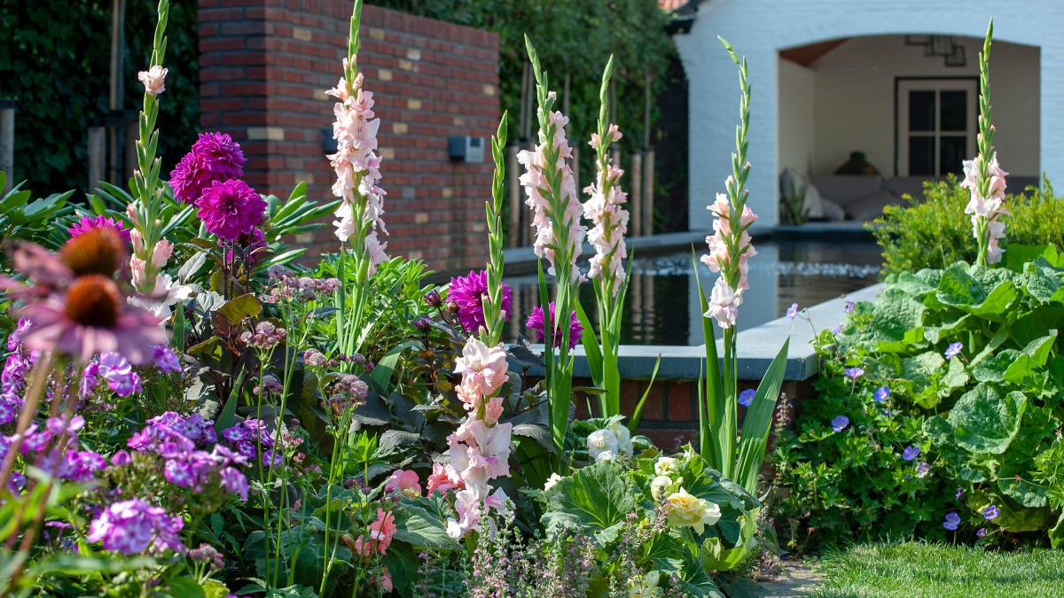 Make luxurious topiary garden to decorate on budget with greenery