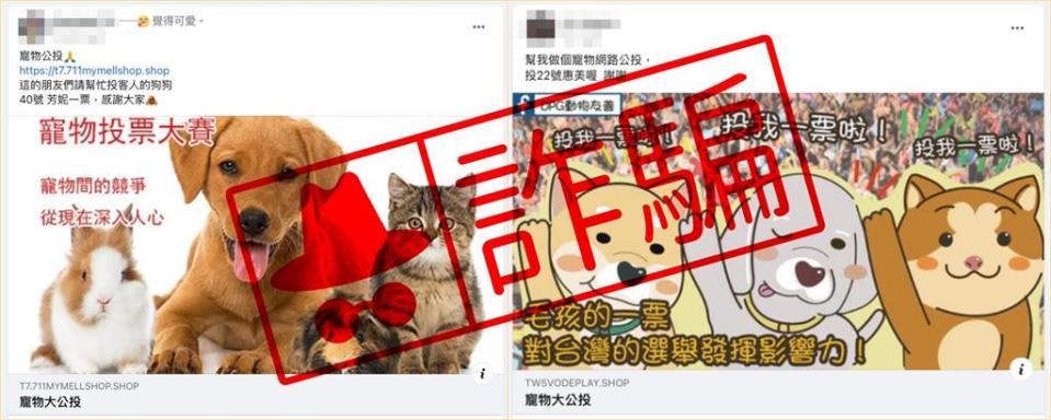 別被可愛貓狗騙了！親友突私訊「幫我投票」手法曝光…LINE帳號秒被盜走借錢