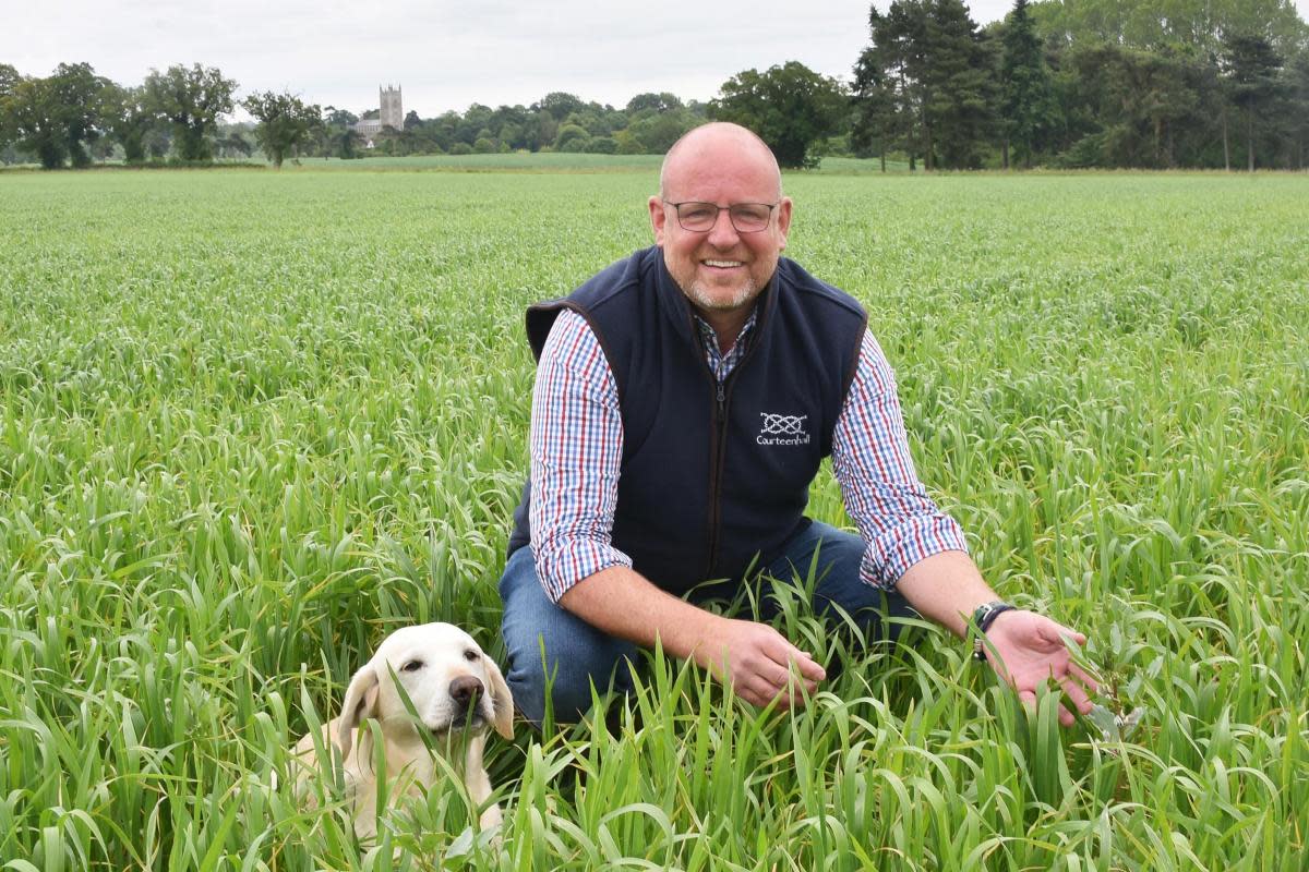 Mark Mayhew manages the Gawdy Hall Estate, in the Waveney valley near Harleston <i>(Image: Denise Bradley)</i>