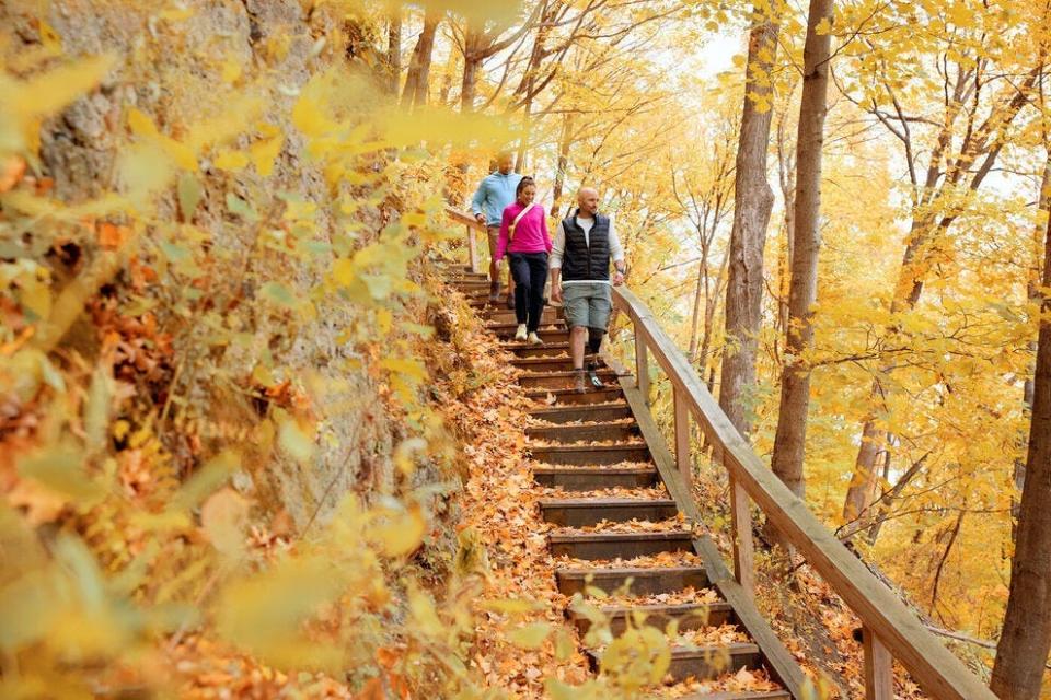 Take in the fall colors at Minnesota's Frontenac State Park