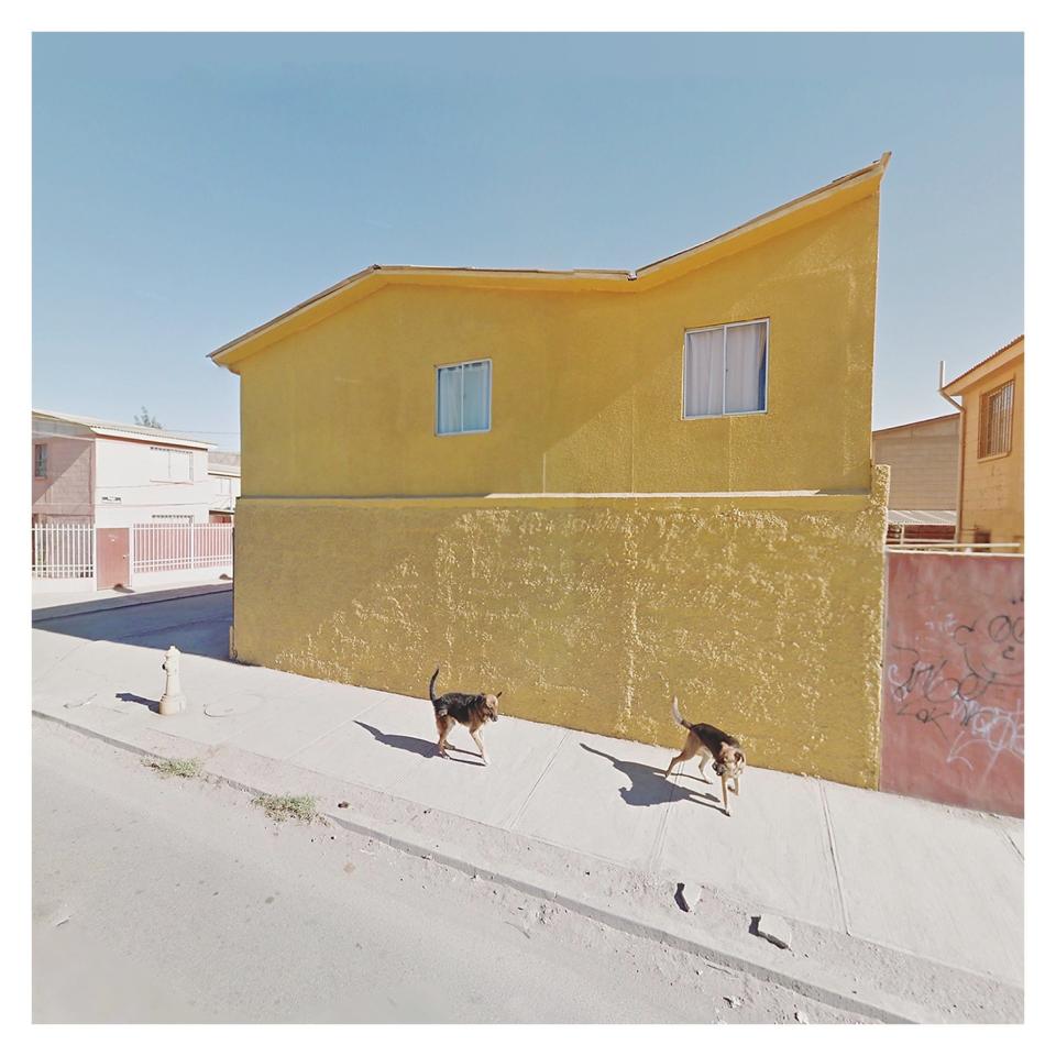 Dogs and Yellow Wall_Chile