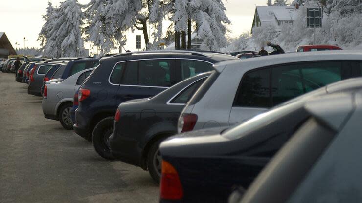 Der VDA macht einen Vorstoß für eine Reform des Parksystems. Foto: dpa