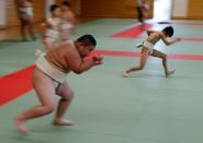 The Wider Image: Meet Kyuta: the 10-year-old, 85-kilo sumo in training