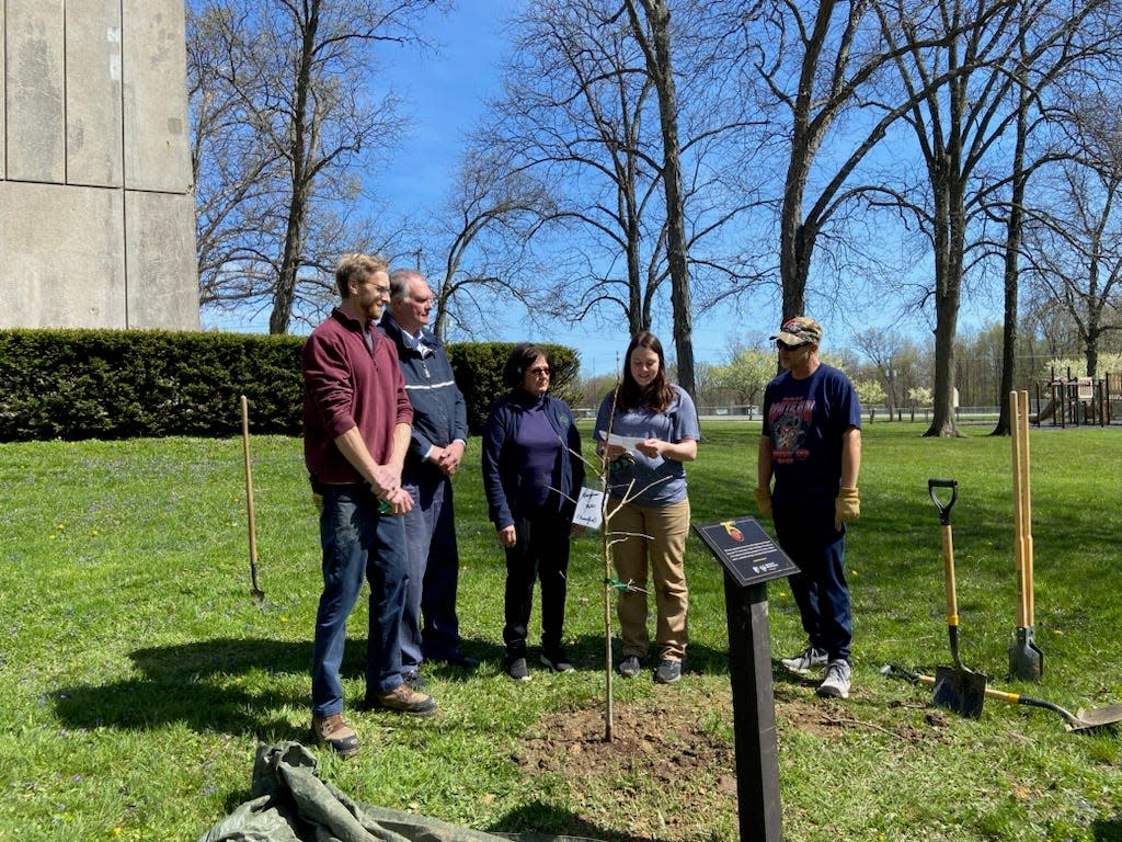 Beside the red oak is a bur oak dedicated on Arbor Day for the 75th year of ODNR's Division of Forestry. Pictured are Andy Furner, left, Mayor Bruce Truka, Mary Lee Minor, Service Forester Katie Gerber and Jeff Panovich.