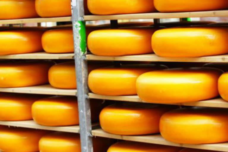 En Holanda, el queso se come a diario, además de otros productos lácteos. Es un componente habitual en el desayuno