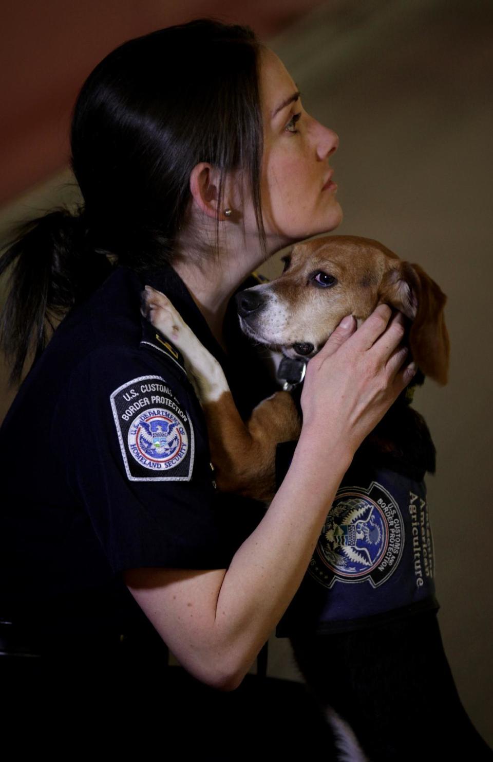 In this Feb. 9, 2012 photo, Meghan Caffery, a U.S. Customs and Border Protection Agriculture Specialist, hugs Izzy, an agricultural detector beagle whose nose is highly sensitive to food odors, at John F. Kennedy Airport's Terminal 4 in New York. This U.S. Customs and Border Protection team works to find foods and plants brought in by visitors that are considered invasive species or banned products, some containing insects or larvae know to be harmful to U.S. agriculture. (AP Photo/Craig Ruttle)