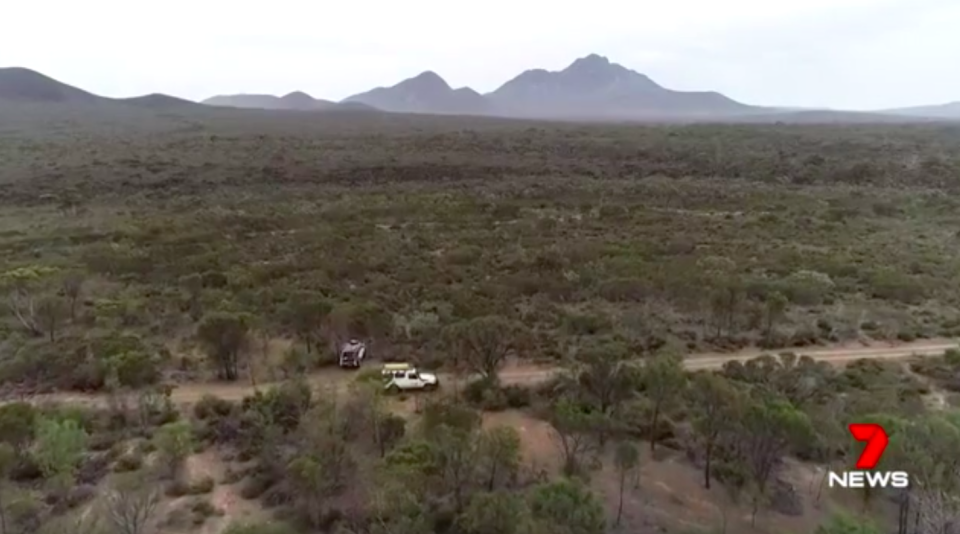 With no food, water, or shelter, Patricia Byrne survived in vast bushland at the foot of the Stirling Ranges by drinking puddles. Source: 7News