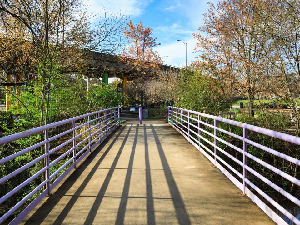 swamp rabbit trail