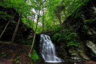 <p>This popular <a href="https://go.redirectingat.com?id=74968X1596630&url=https%3A%2F%2Fwww.alltrails.com%2Ftrail%2Fus%2Fpennsylvania%2Fbushkill-falls-red-and-blue-trail&sref=https%3A%2F%2Fwww.esquire.com%2Flifestyle%2Fg41044871%2Fbest-hiking-trails-in-every-state%2F" rel="nofollow noopener" target="_blank" data-ylk="slk:1.9-mile trail" class="link ">1.9-mile trail</a> requires a $15 entrance fee, but it's well worth it for its views of the namesake Bushkill Falls. (AllTrails reviewers suggest getting there early to avoid crowds, and be prepared for some cardio.)</p>