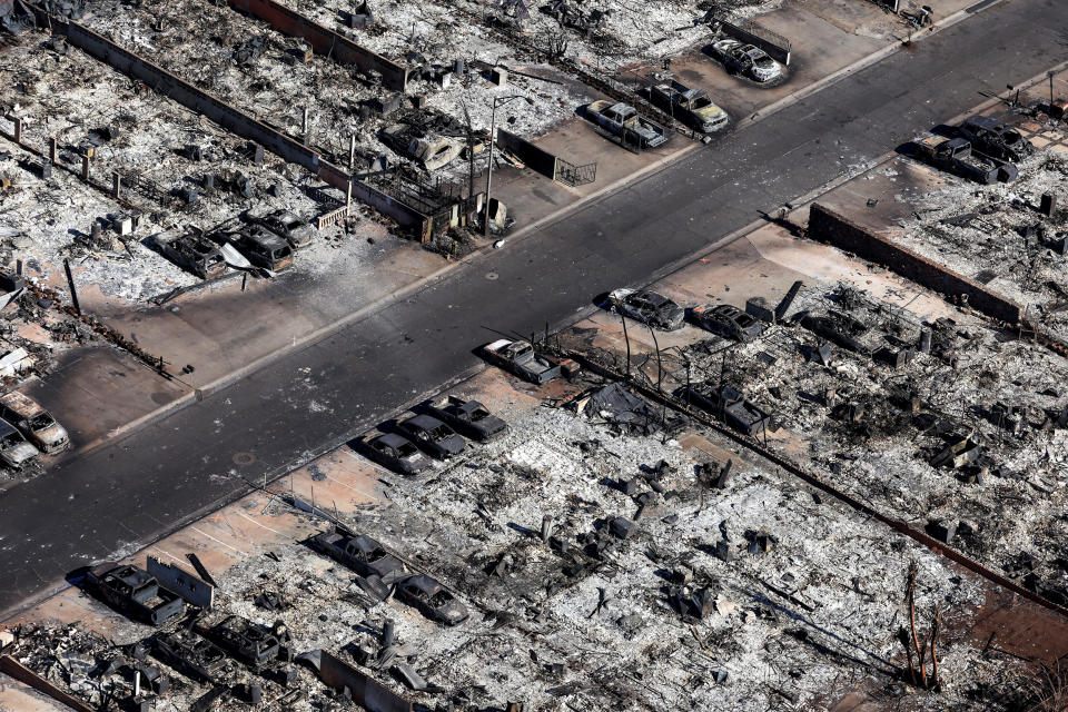 Burned cars and destroyed homes in Lahaina, Hawaii, on Aug. 11, 2023. (Justin Sullivan / Getty Images)