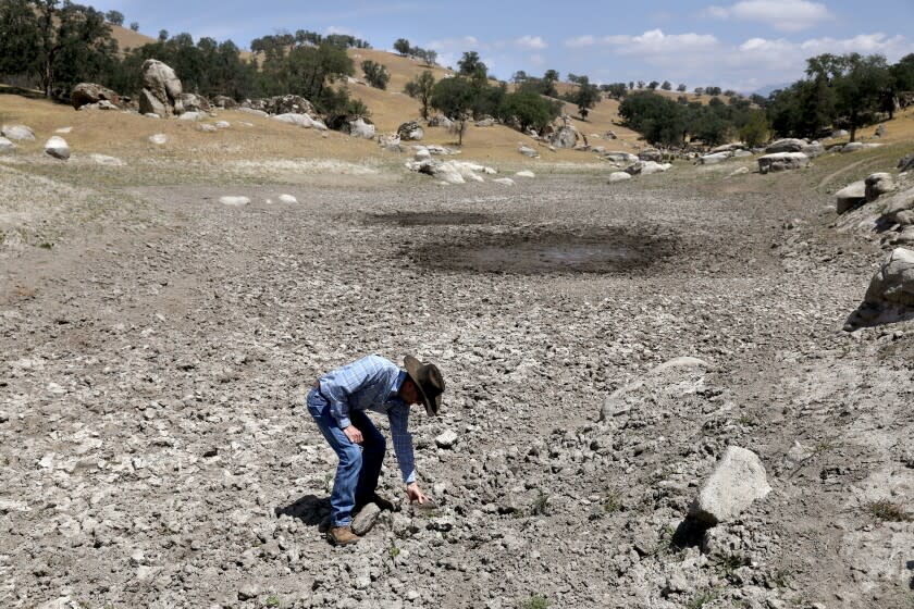 PORTERVILLE, CA - APRIL 22: A reservoir with a no water in the month of April due to the lack of rain on the ranch of John Guthrie, 52, president of the Tulare County Farm Bureau and owner of a cattle ranch and farm that has been in his family for 150 years, in southeast Tulare County on Thursday, April 22, 2021 in Porterville, CA. In a normal year, the reservoir would have water all year long, not common for no water in April. Guthrie is a sixth generation rancher raising beef cattle. A deepening drought and new regulations are causing some California growers to consider an end to farming. (Gary Coronado / Los Angeles Times)