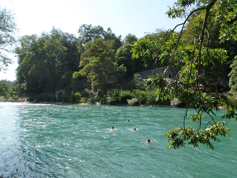 People swimming in the Aare River.