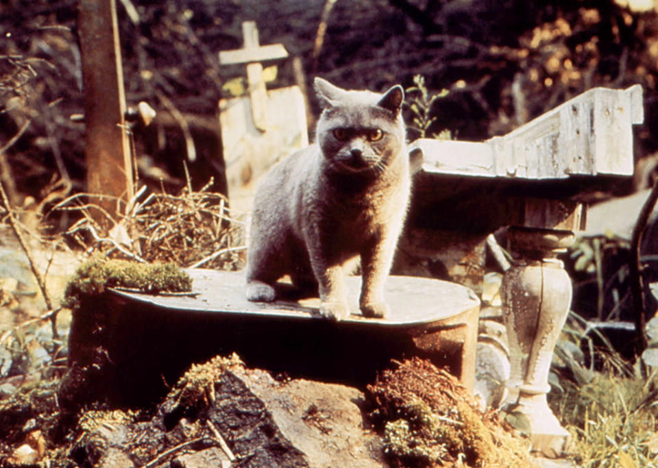 Church, 'Pet Sematary’ (1989)