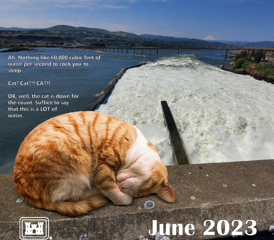 June in the Portland District of the U.S. Army Corps of Engineers2023 calendar features The Dalles, Ore., and a cat photoshopped into the landscape.