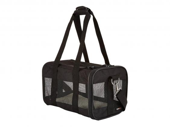 10 best cat carriers to easily transport your pet