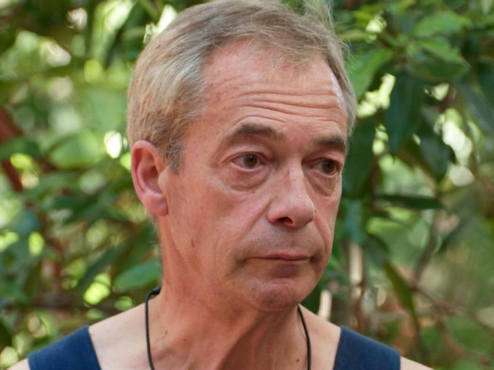 Nigel Farage has clashed with fellow contestants on I’m a Celeb (ITV/Shutterstock)