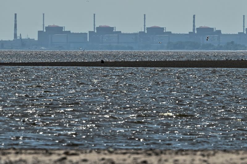 FILE PHOTO: View shows Zaporizhzhia Nuclear Power Plant from the bank of Kakhovka Reservoir