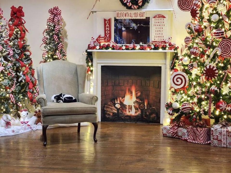 Mookie rests in Santa’s chair during a holiday break at the N.C. Transportation Museum. The museum mascot was last seen on Sept. 2 and staff think a visitor may have left with her.