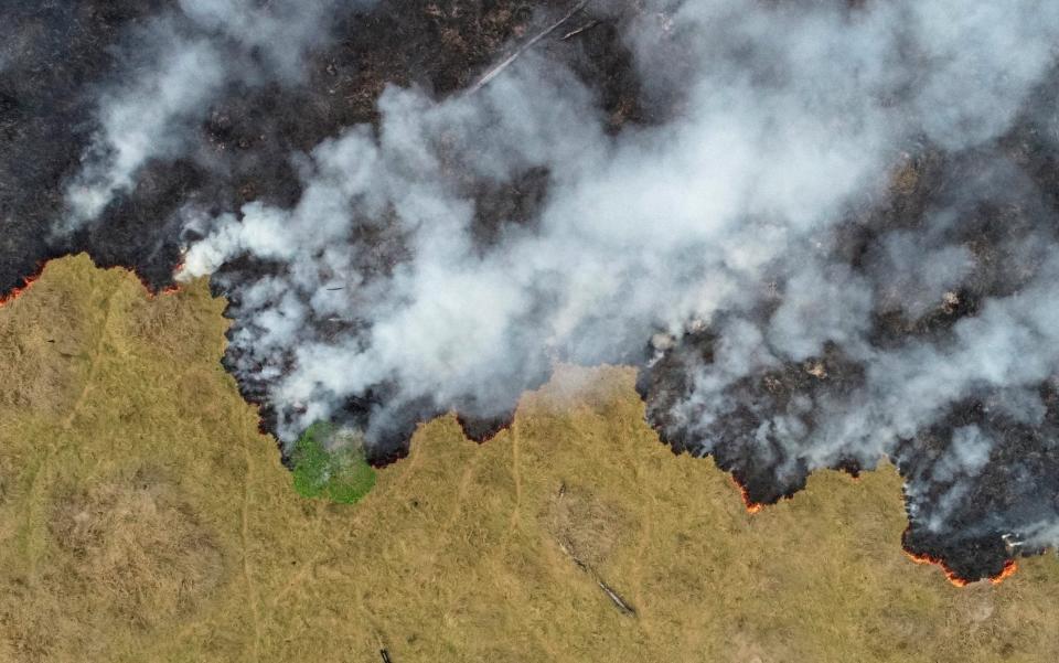 Porto Velho, Rondonia State, Brazil - Ueslei Marcelino/REUTERS