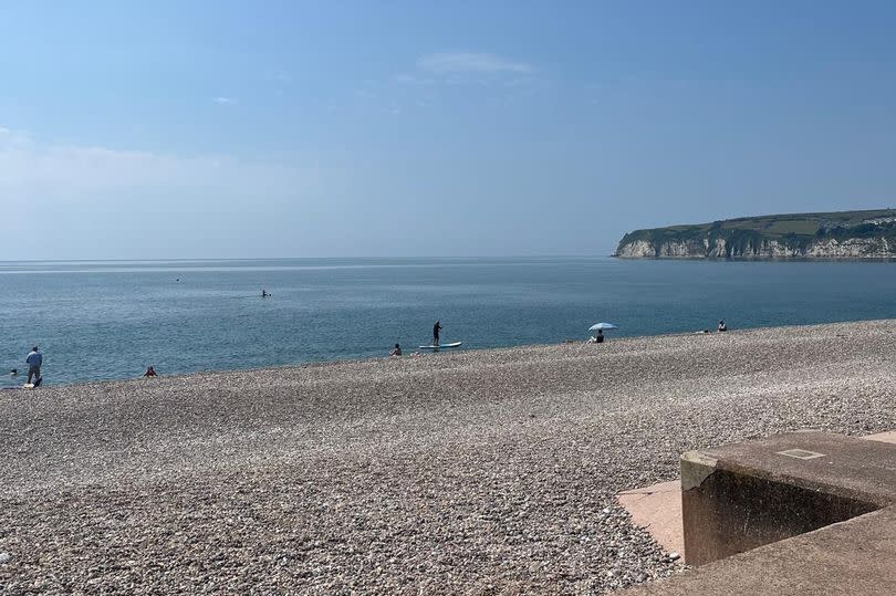 Seaton beach -Credit:Mary Stenson/DevonLive