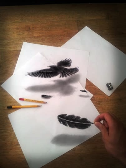 16-Year-Old Artist Draws Amazing 3D Optical Illusions In His