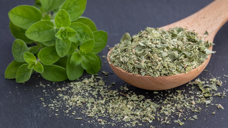 dried oregano in wooden spoon