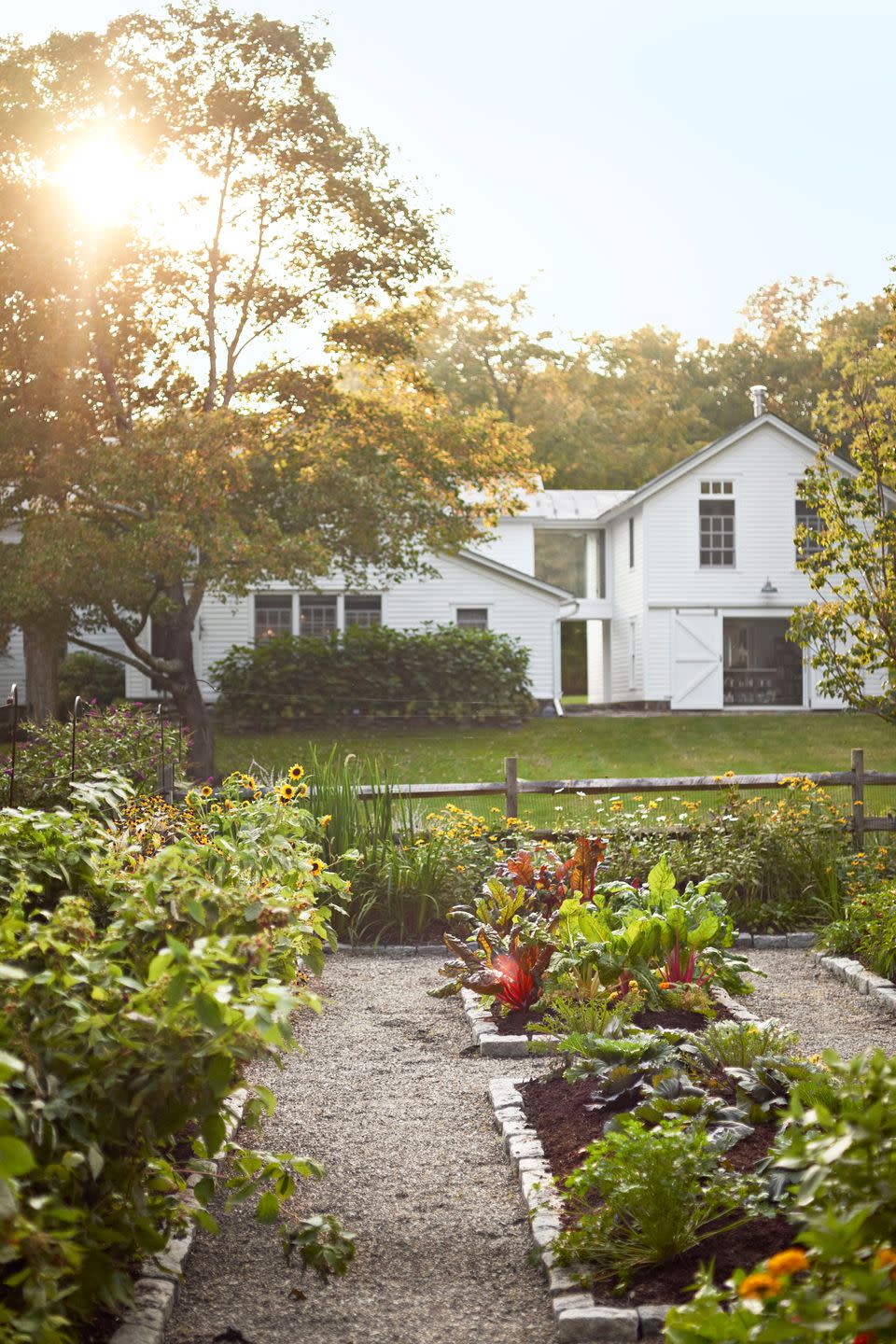 Plant a Kitchen Garden