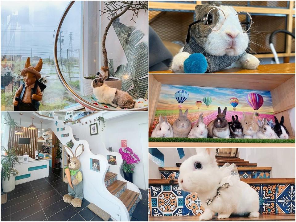 店內也擺放了許多的可愛兔子擺飾 Photo via：bunnyhouse.wish、bear_mochi_yang、rabbit_bude、bunnybobo.0720