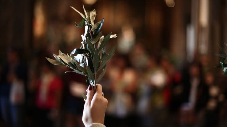 El Domingo de Ramos en 2024 cae hoy, 24 de marzo