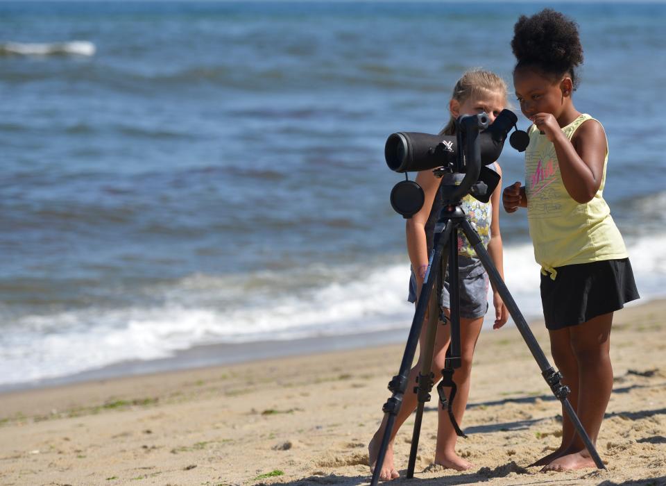 Cousins Violet Polloni, 6, left, and Aleada Johnson, 5, take turns looking for seals through a scope set up on High Head Beach in North Truro, during a guided walk Wednesday.