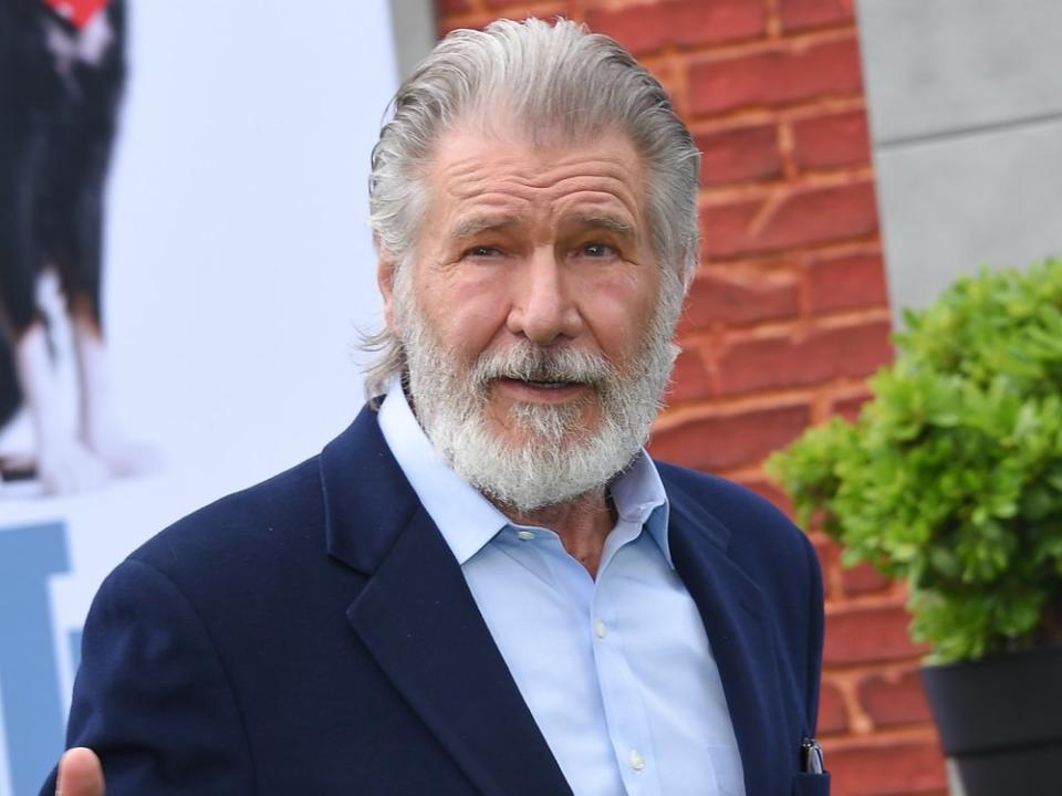 Harrison Ford ist das Gesicht der "Indiana Jones"-Reihe. (Bild: DFree/Shutterstock.com)