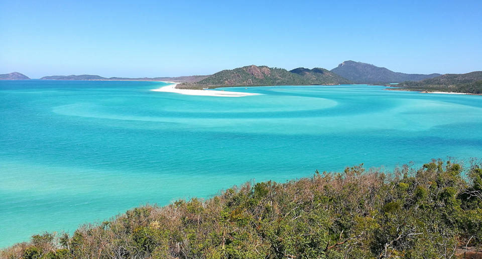 The 46-year-old Tasmanian tourist was bitten while swimming in the water near Cid Harbour in the Whitsunday Islands. 