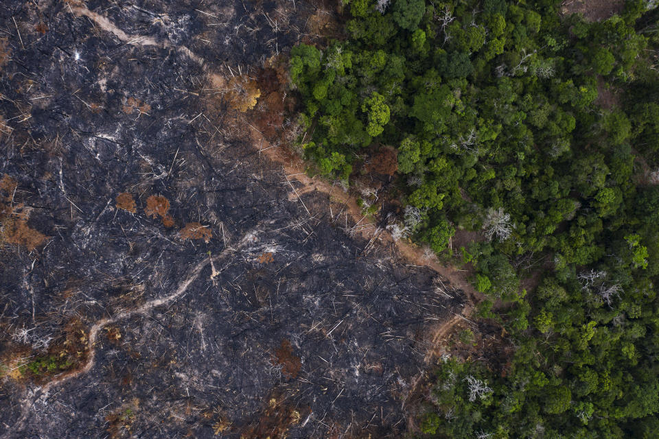 FILE - In this Nov. 23, 2019 file photo, a burned area of the Amazon rainforest is seen in Prainha, Para state, Brazil. In Brazil, some climatologists argue that the Amazon rainforest will hit a “tipping point” in the next 10 to 15 years. If too much rainforest is damaged, there will be less evapotranspiration and so less rainfall, and the biome would begin an irreversible process of degradation into tropical savannah, compromising its role as a carbon sink. (AP Photo/Leo Correa, File)