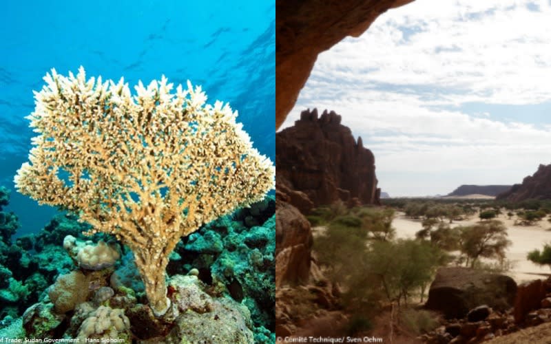 Parque Nacional Marino de Sanganeb y Parque Nacional Marino de la Bahía de Dungonab y la Isla de Mukkawar (Sudán). Albergan un variado ecosistema de arrecifes coralinos, manglares, praderas marinas, playas e islotes, así como tortugas, tiburones, mantas y dugongos (izquierda). Otro sitio africano en entrar a la lista fue el Macizo de Ennedi, en Chad, formado por arenisca, erosión del agua y arte rupestre (derecha).