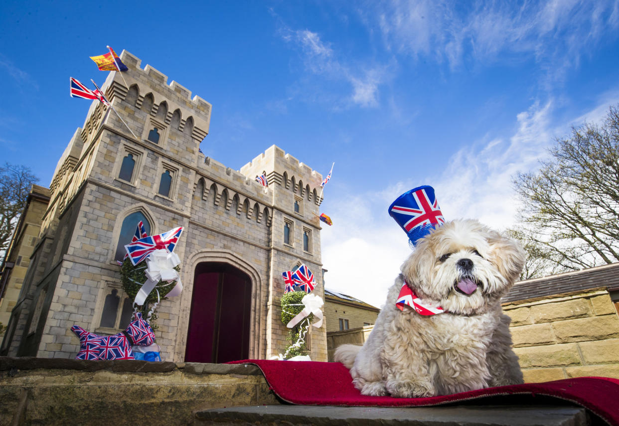 A lottery winner has bought her dog a £5,000 Windsor Castle replica kennel (PA)