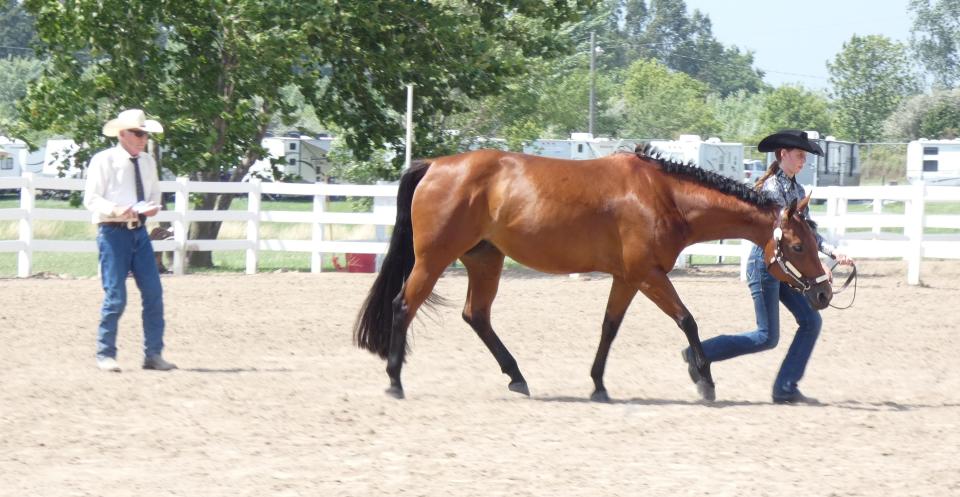 A girl and her horse compete in the versatility class competition on Wednesday afternoon in the horse arena at the Crawford County Fair.