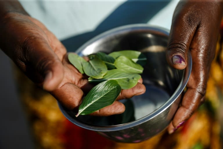 Chenyika does not know of the herbal tea she brews and drinks daily actually helps with her ailment