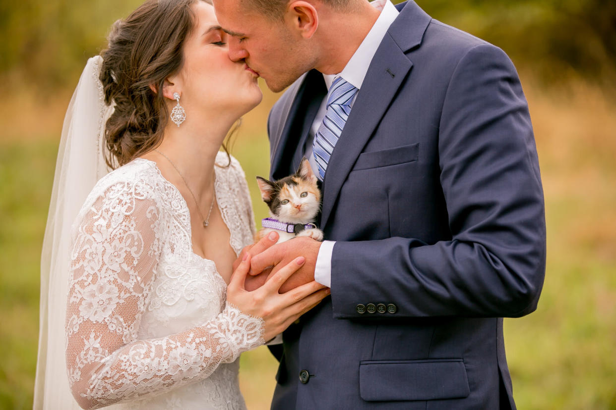 Chloe the calico was the best wedding surprise.&nbsp; (Photo: <a href="https://www.facebook.com/wildnwonderfulphotography/" target="_blank">Wild and Wonderful Photography</a>)