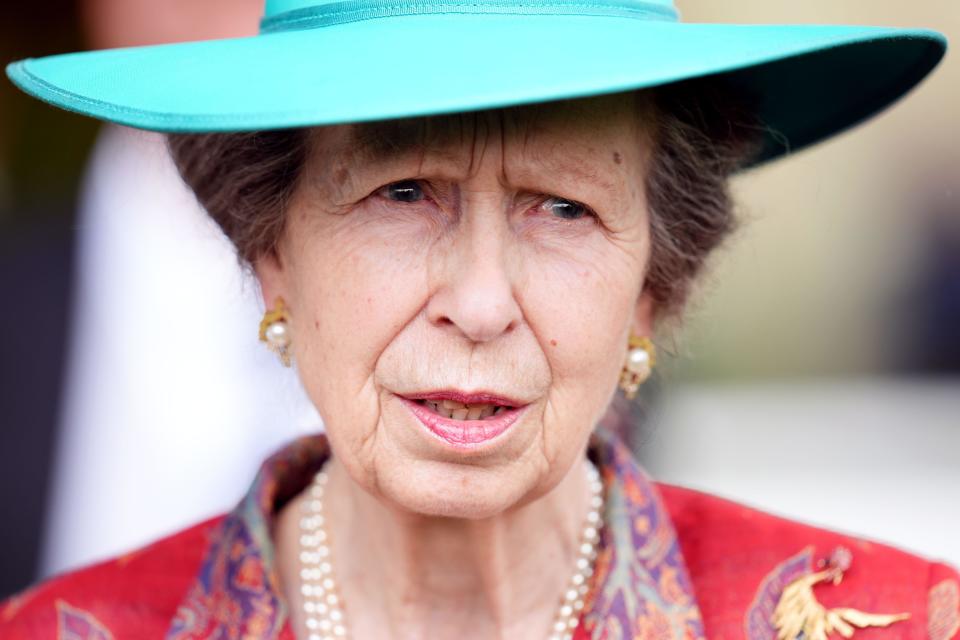 File photo dated 18/06/24 of The Princess Royal on day one of Royal Ascot at Ascot Racecourse, Berkshire. The Princess Royal 