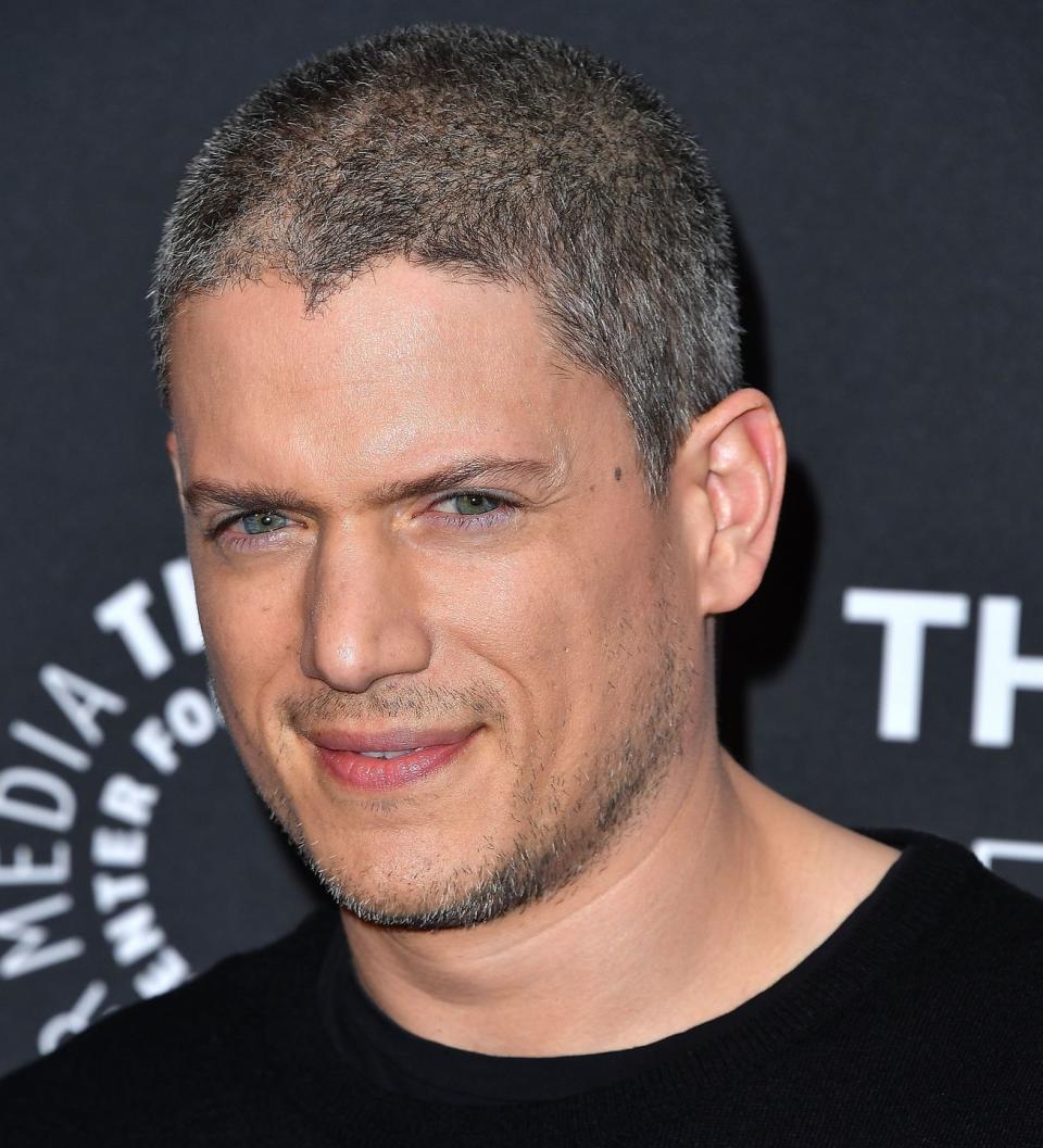 29) Wentworth Miller