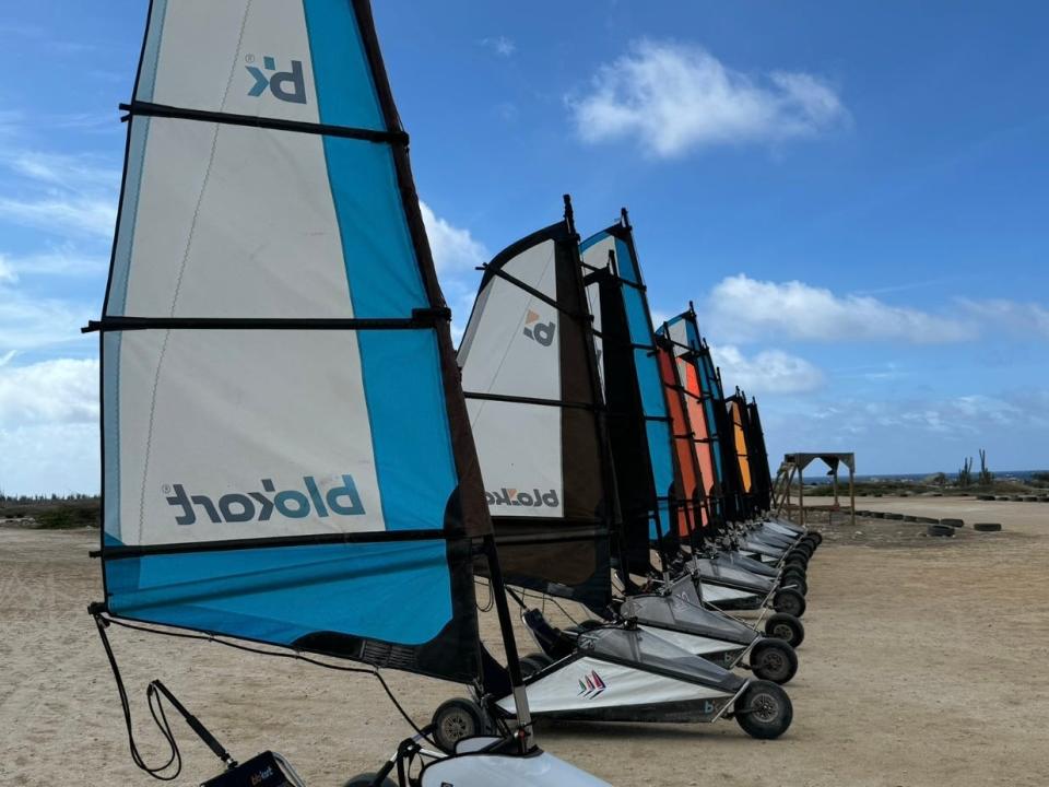 A row of land sails on a beach.
