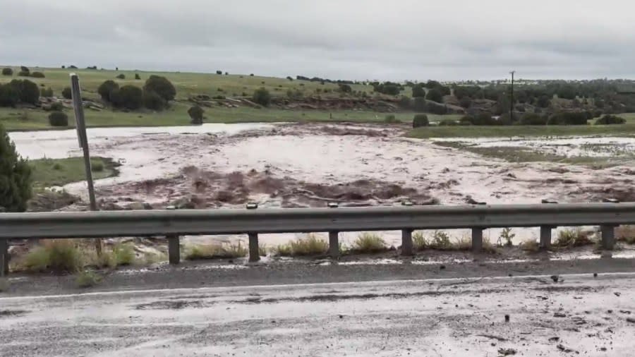 <em>The side of a road in New Mexico on June 21, 2024 | Photo by Travis Martinez</em>