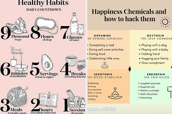 A guide on healthy habits, and one on happiness chemicals