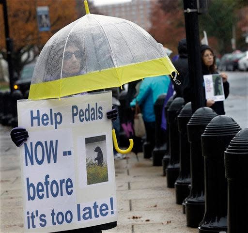 Janine Motta of Manalapan, N.J., holds a sign as she and other animal activists renewed their calls for New Jersey officials to help ensure the welfare of a bear that walks upright and has become a social media darling.