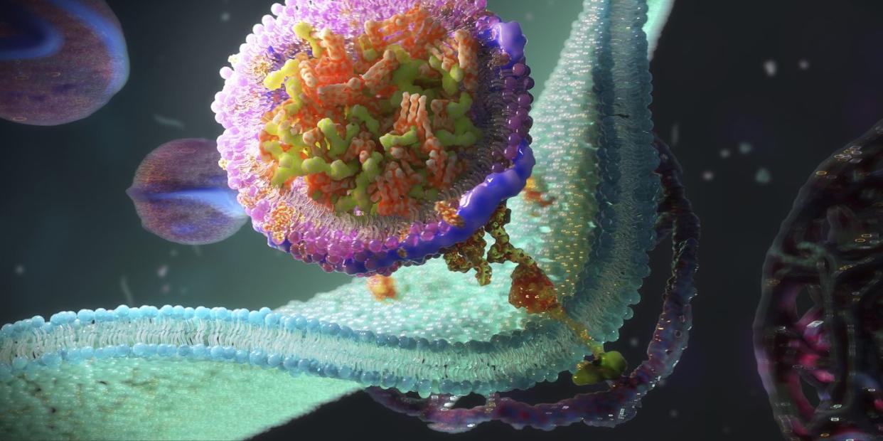 ldl receptors on cell membrane, illustration