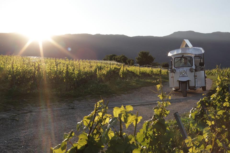 The wine tuk-tuk tour offers a unique experience (Visit Geneva)