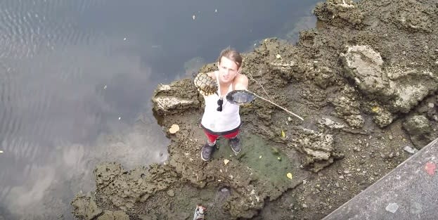 Hero of the day: This guy saved two turtles who were chained together