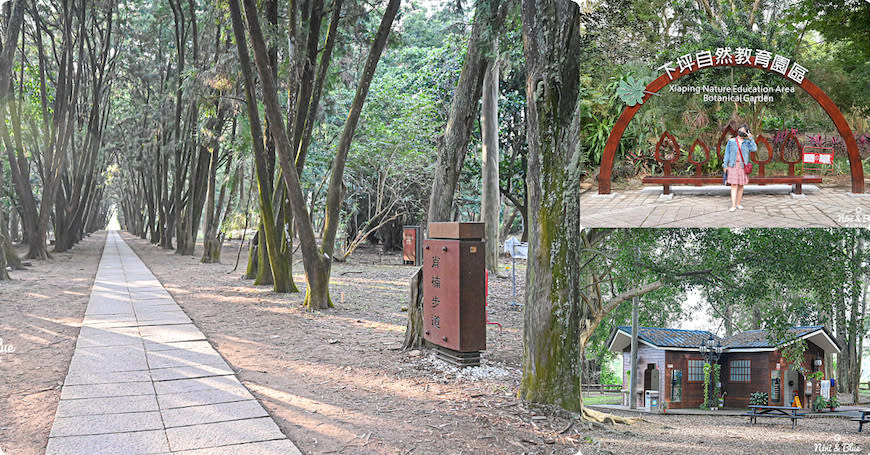 南投竹山｜下坪熱帶植物園