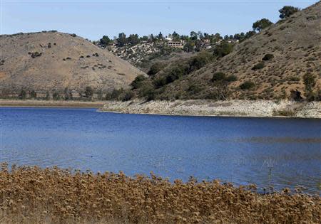 The receding water line of Lake Hodges is seen in San Diego County January 17, 2014. REUTERS/Mike Blake